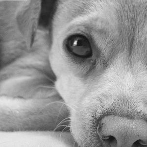 Meet your Posher, Karla